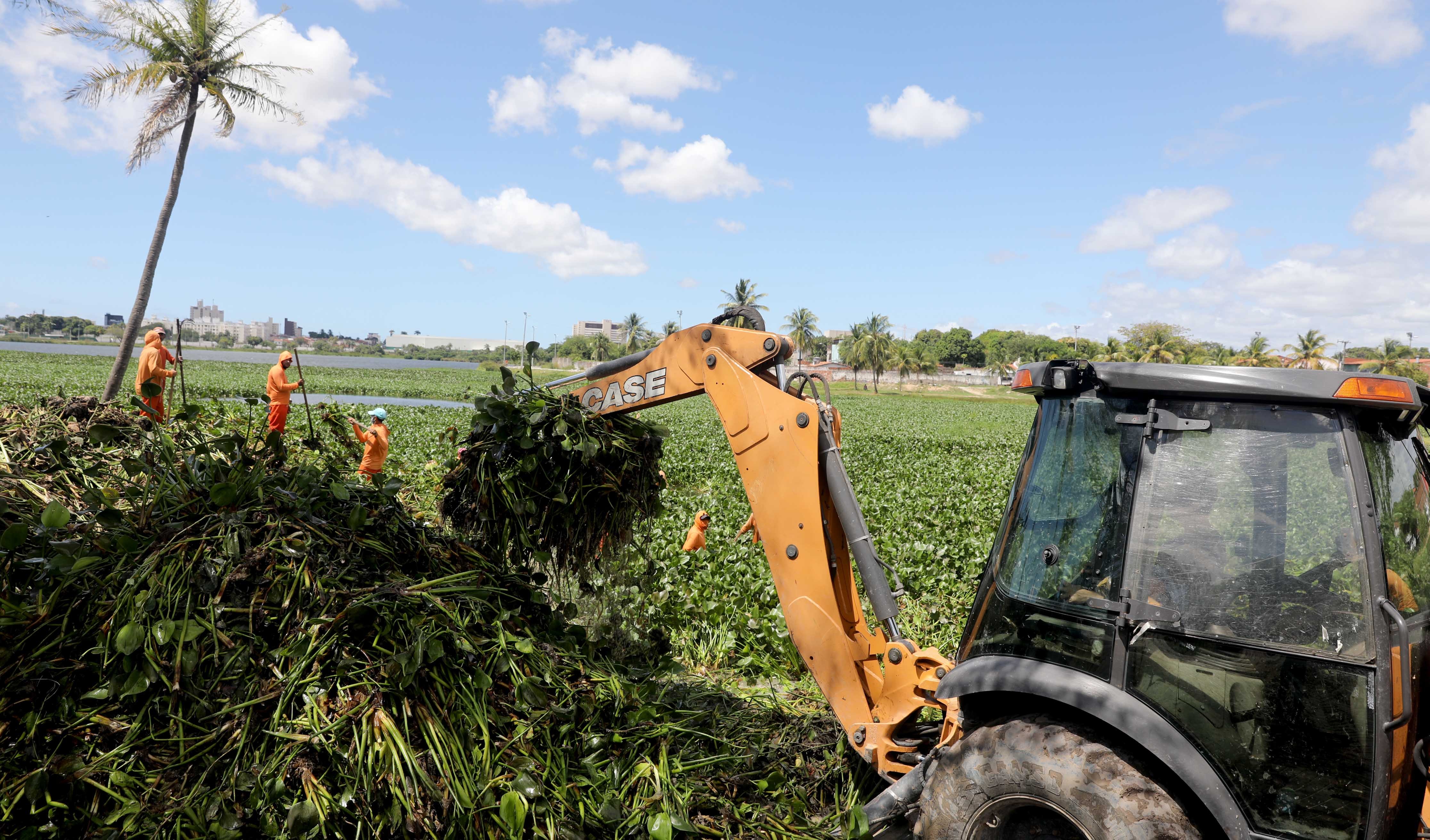 Fóruns Territoriais de Fortaleza - Fórun Territorial Mondubim, Maraponga, Jardim Cearense e Manoel Sátiro - Prefeitura de Fortaleza inicia limpeza da Lagoa do Mondubim