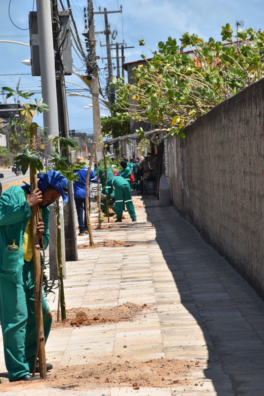 Fóruns Territoriais de Fortaleza - Fórun Territorial Praia da Futuro I e Praia do Futuro II - Prefeitura realiza o plantio de 1.000 mudas de árvores na Praia do Futuro