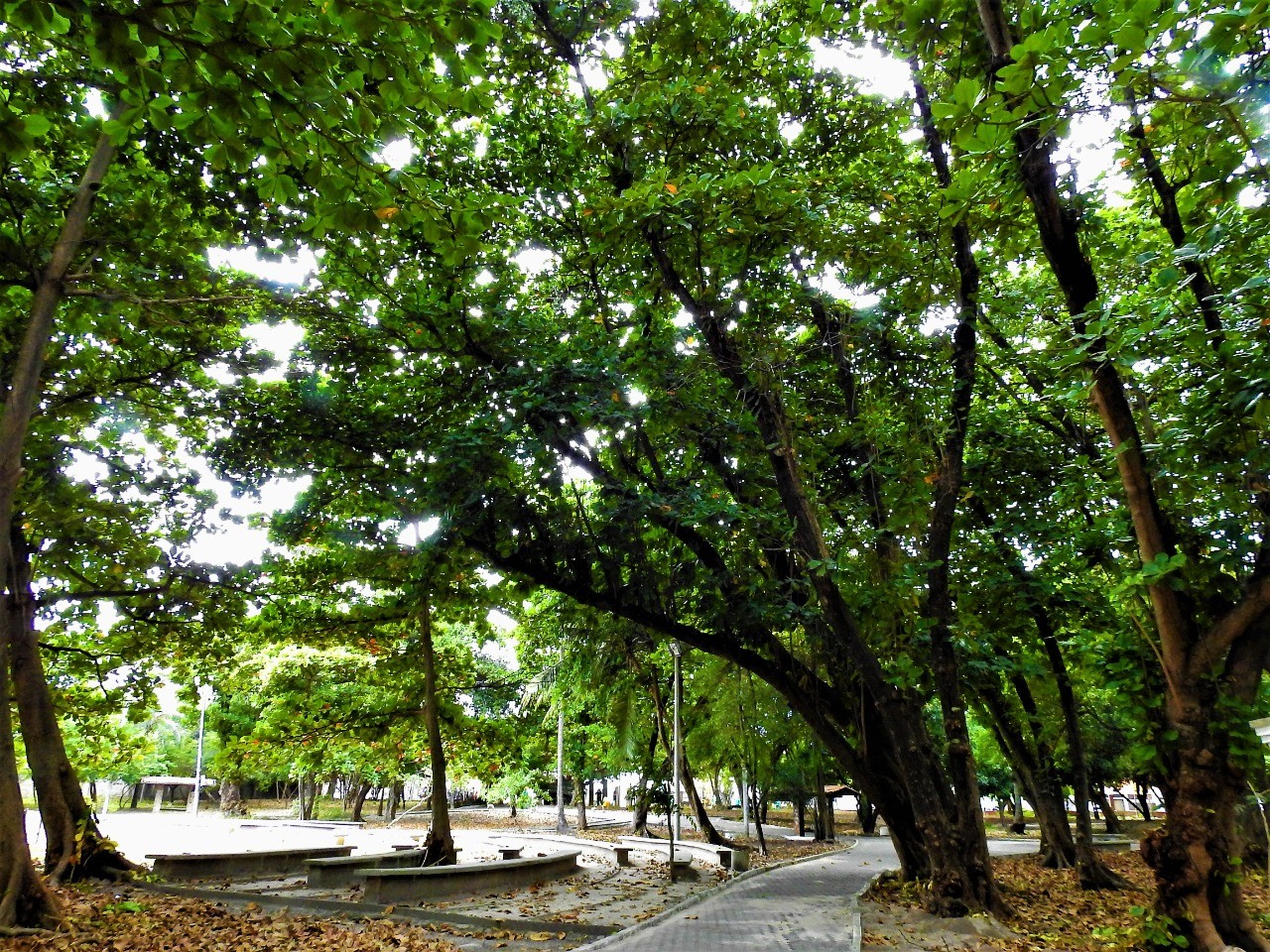 Fóruns Territoriais de Fortaleza - Fórun Territorial São João do Tauape, Dionisio Torres e Joaquim Távora - Prefeitura de Fortaleza inicia as obras de requalificação do Parque Rio Branco