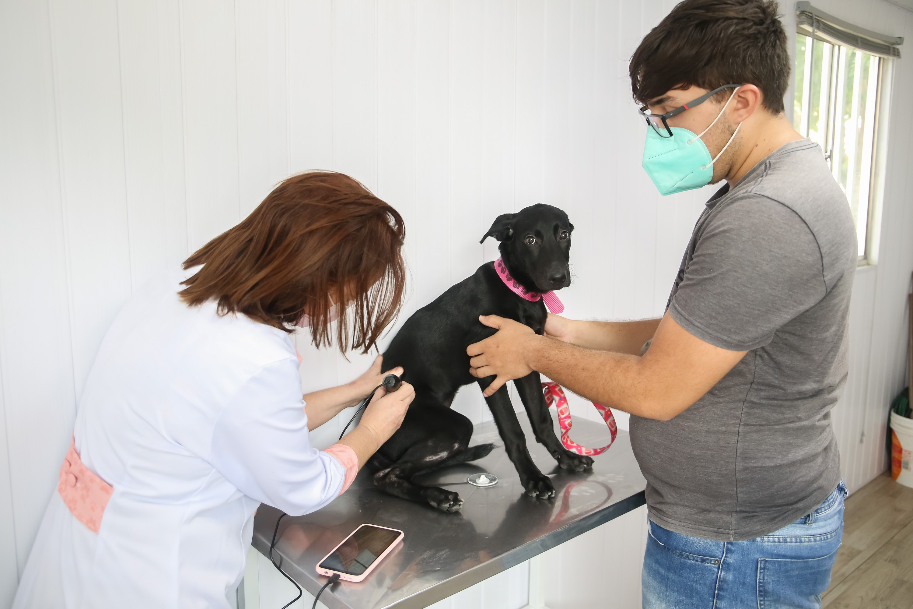 Fóruns Territoriais de Fortaleza - Fórun Territorial Autran Nunes, Dom Lustosa, Henrique Jorge, João XXIII e Jóquei Clube - VetMóvel oferece consultas veterinárias e castrações no bairro João XXIII