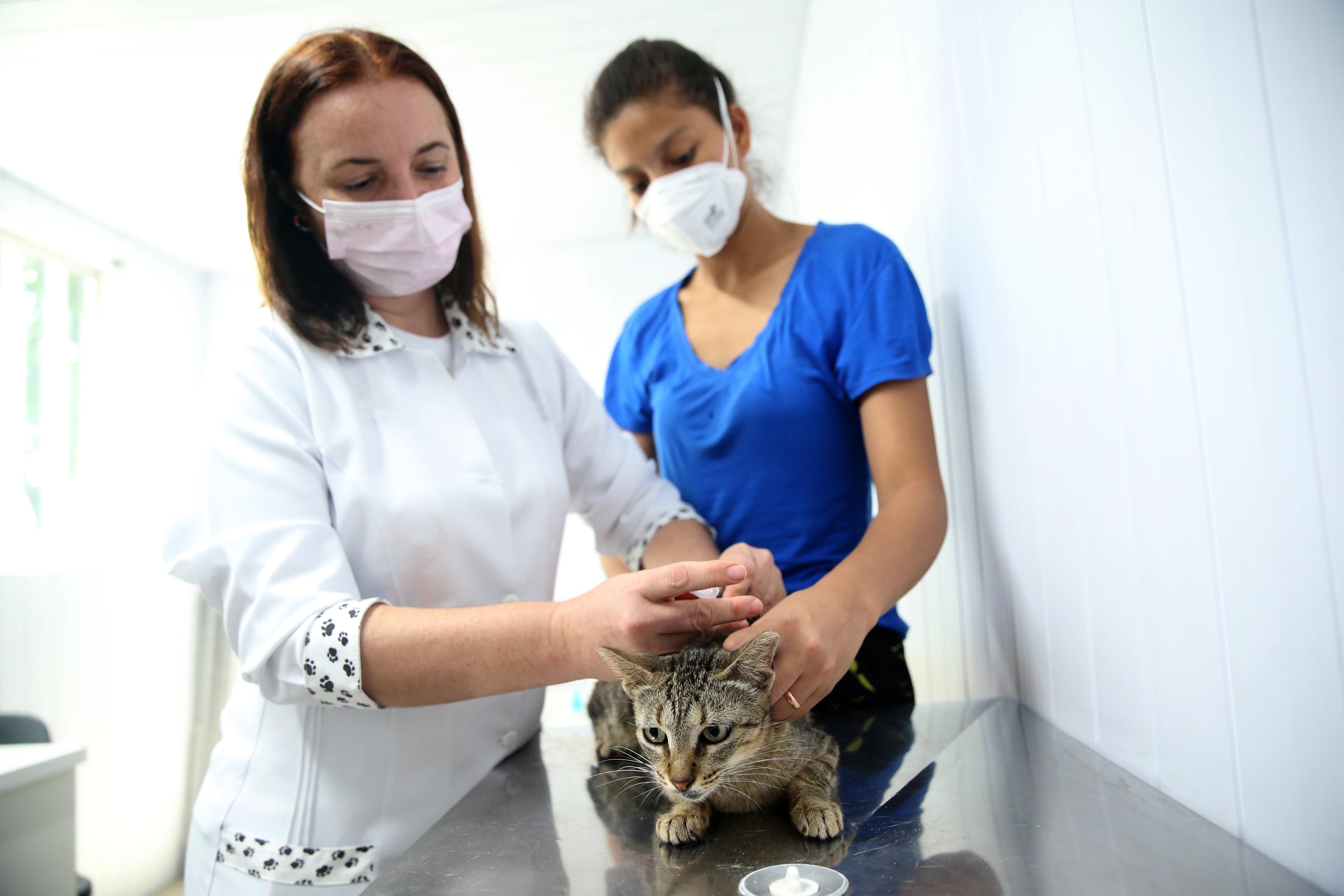 Fóruns Territoriais de Fortaleza - Fórun Territorial Edson Queiroz, Sapiranga-Coité e Sabiaguaba - Prefeitura realiza atendimento veterinário e ação educativa no bairro Sabiaguaba