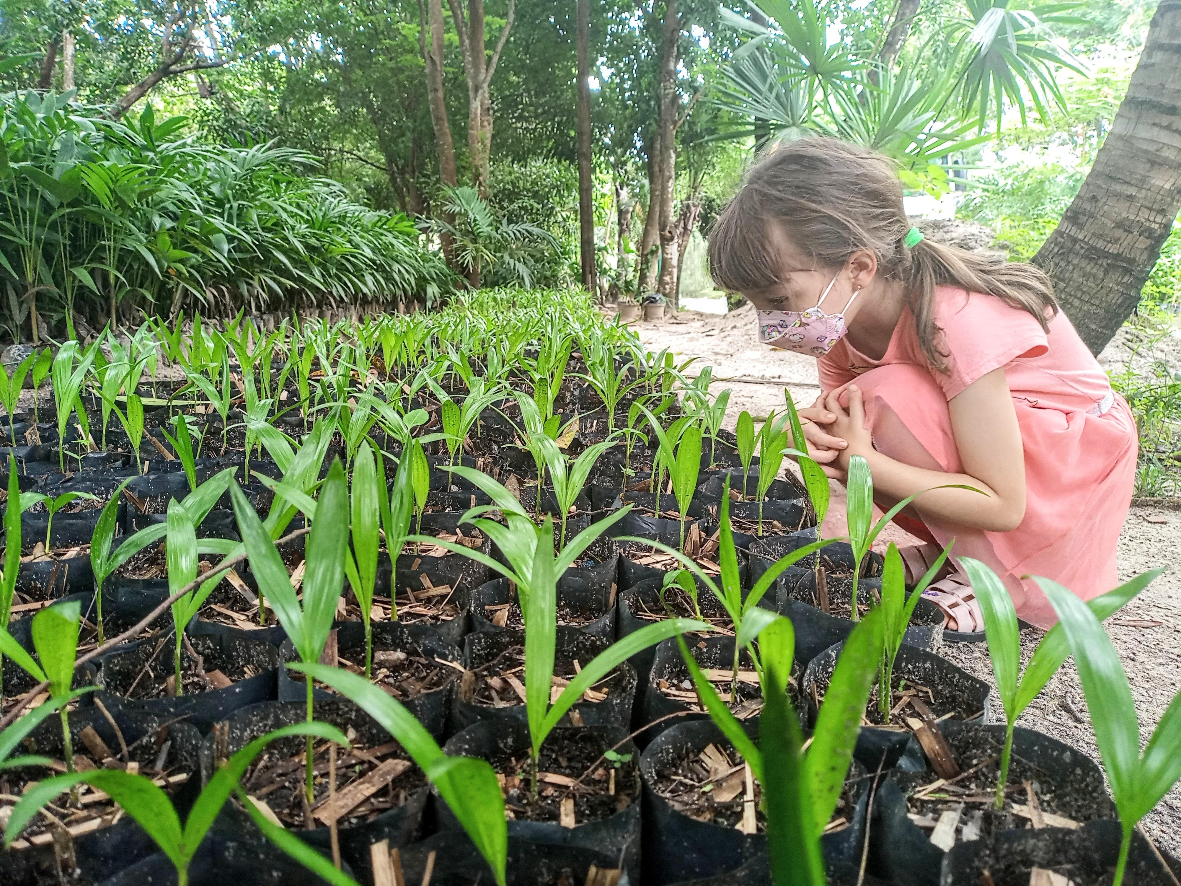 Fóruns Territoriais de Fortaleza - Fórun Territorial Parque Dois Irmãos, Passaré, Boa Vista e Dias Macedo - Parque Ecológico do Passaré se consolida como espaço de lazer em Fortaleza